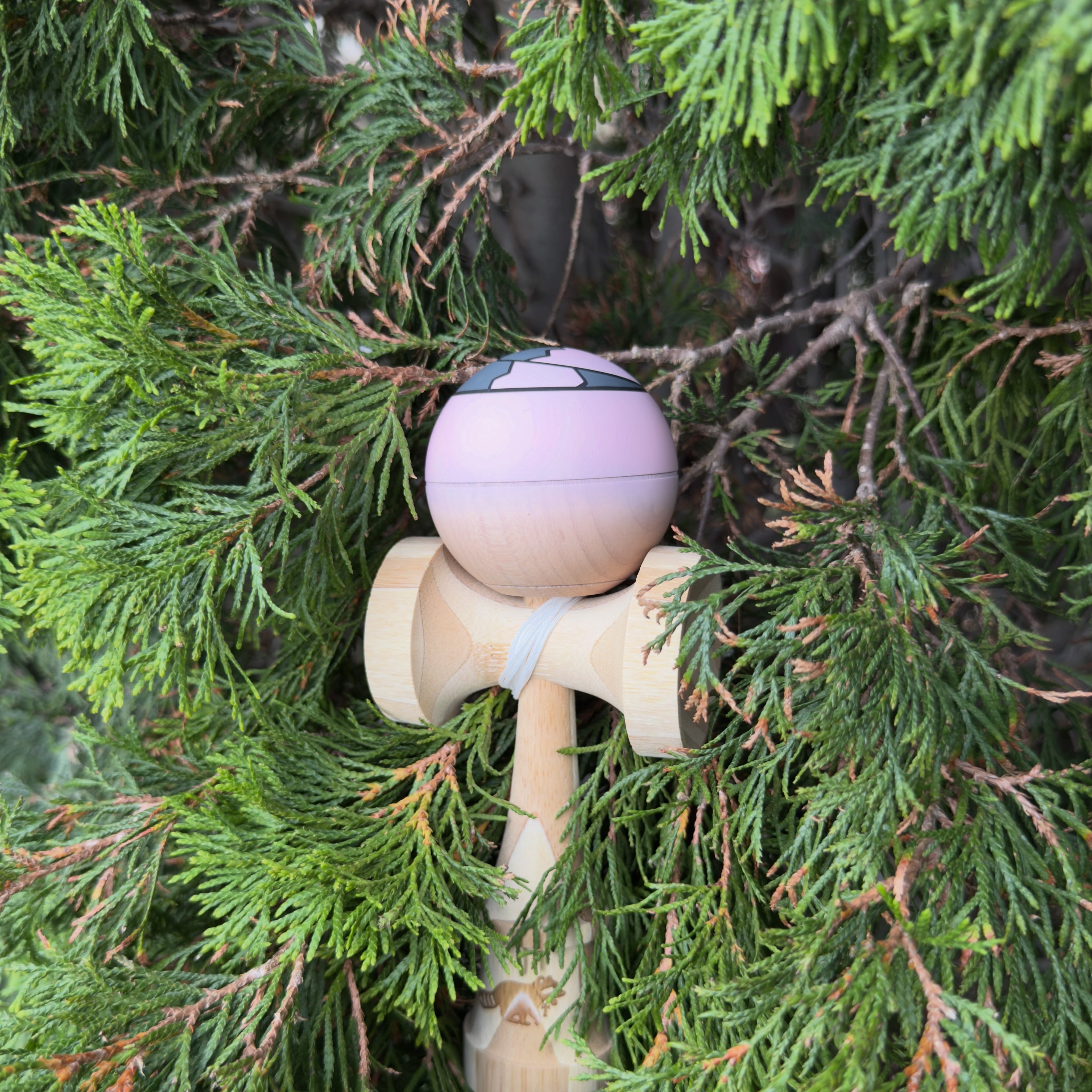 Pink Raccoon Standard Tama Only