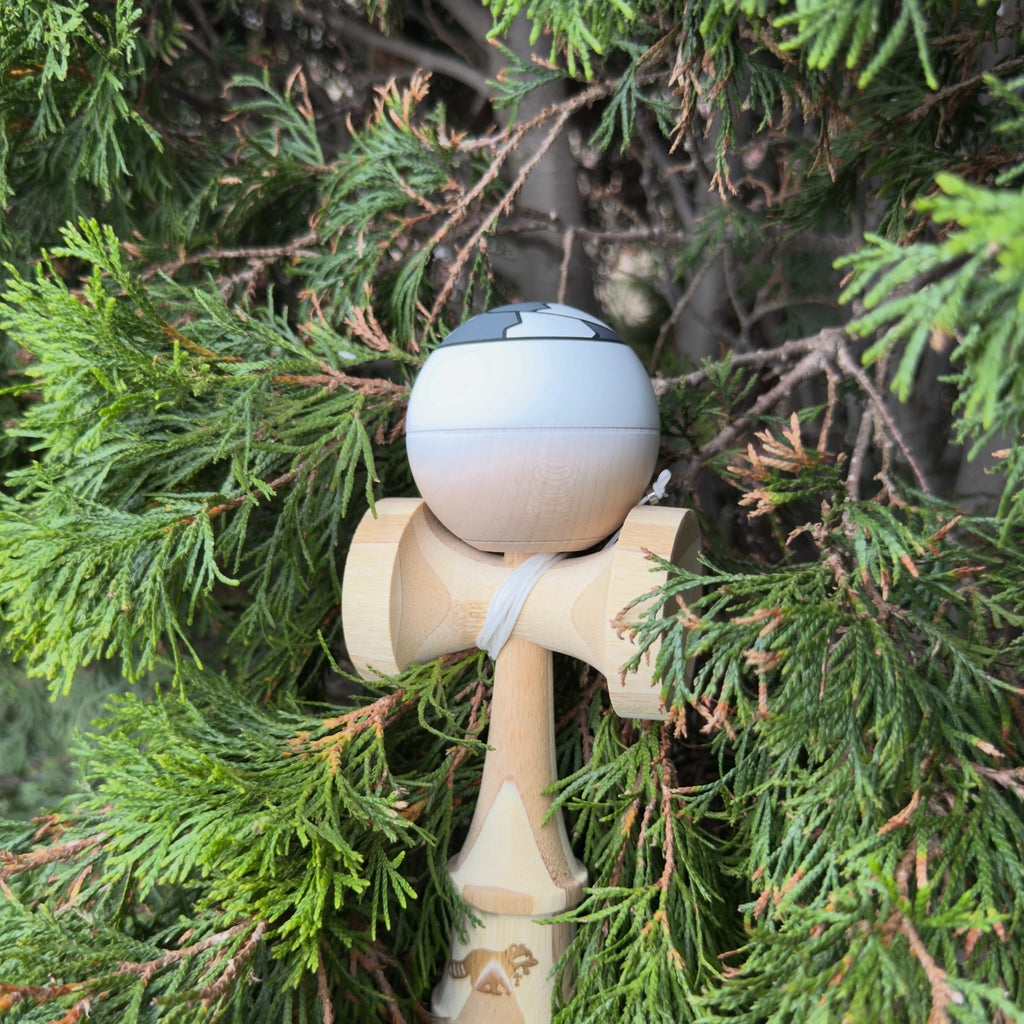 White Raccoon Standard Tama Only