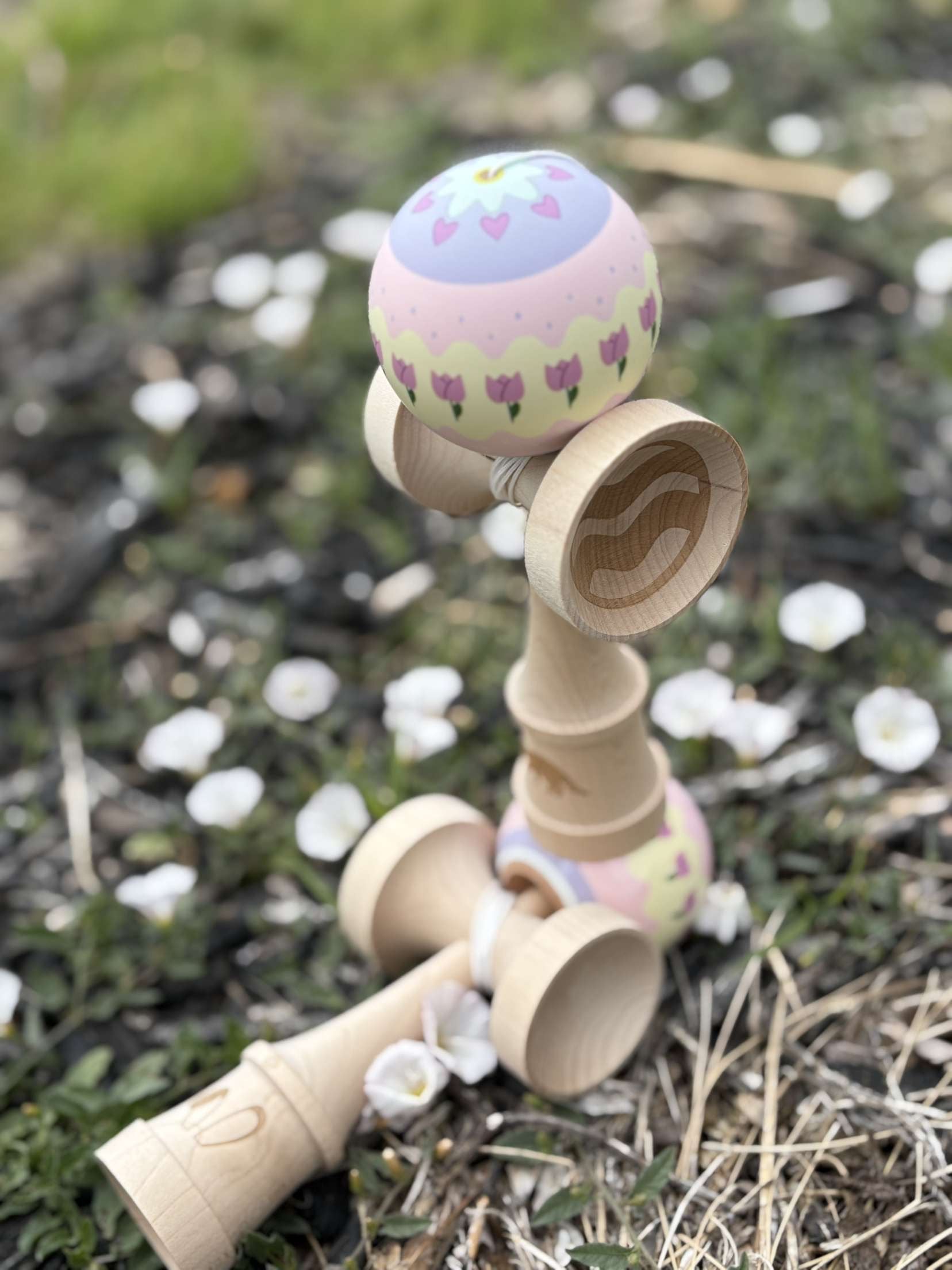 Spring Mod Beech Tama